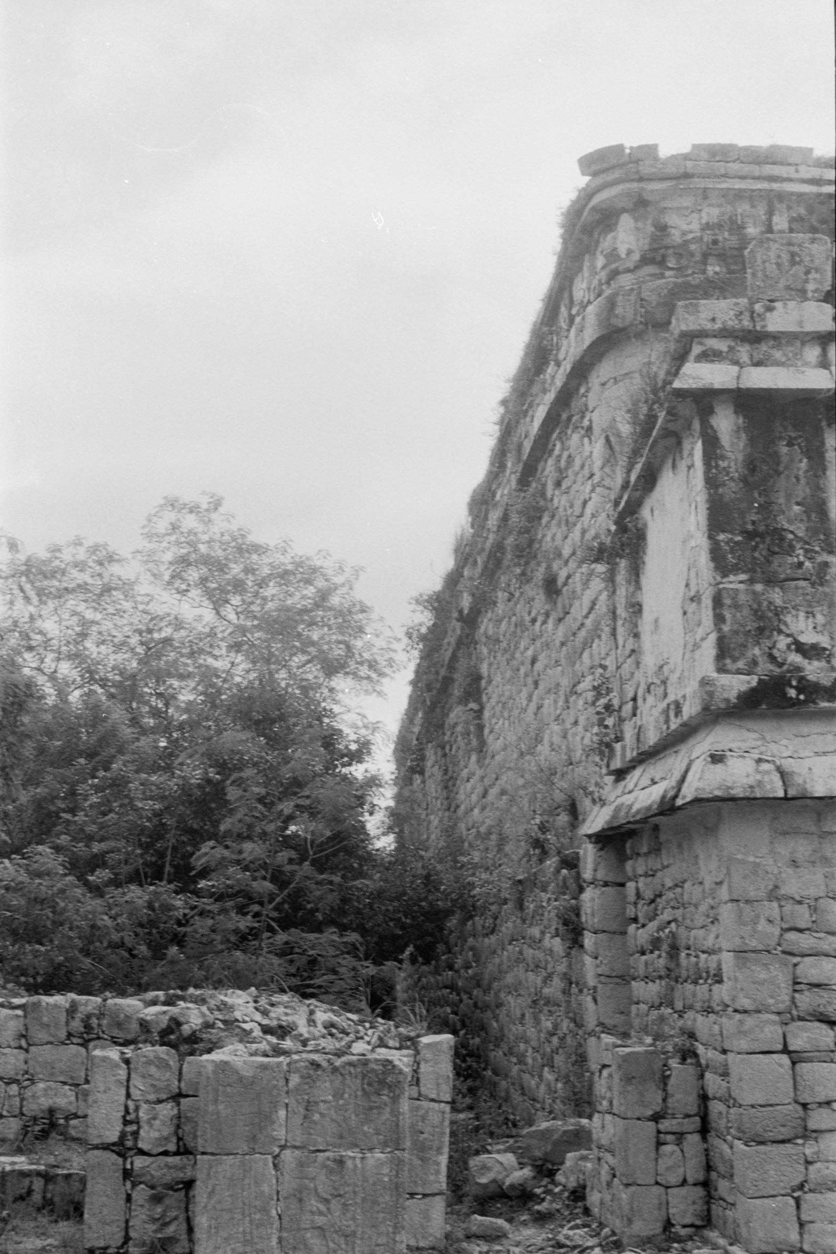 AHP FilmScan 240807 0703